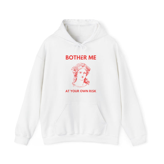 Bother Me At Your Own Risk Hoodie